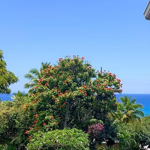  Apartment A Little Aloha United States